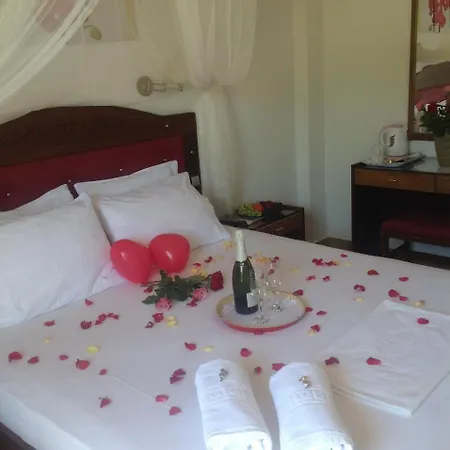 Angela Hotel 2*